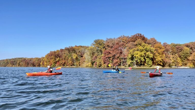 fall kayak yellowwood 768x432