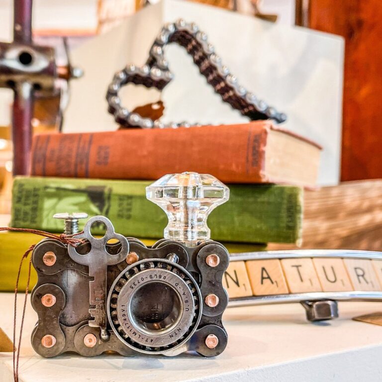 Wease Marci Camera Books web 768x768