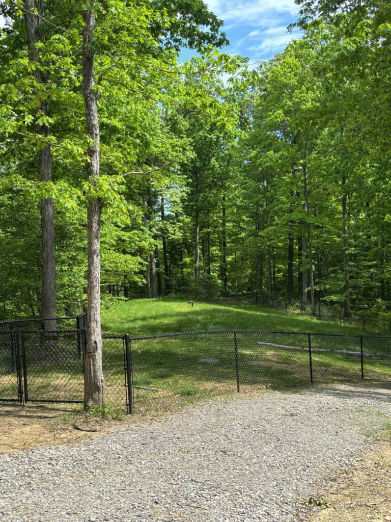 151442 392885 Ky8qh9kWxILfQWqd53XYJ 6X1a7Nlt ECOKBp7UePno 682bb13b095c6 768x1024