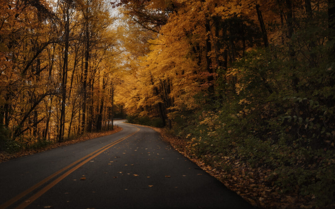 What’s Trending in Brown County Marketing