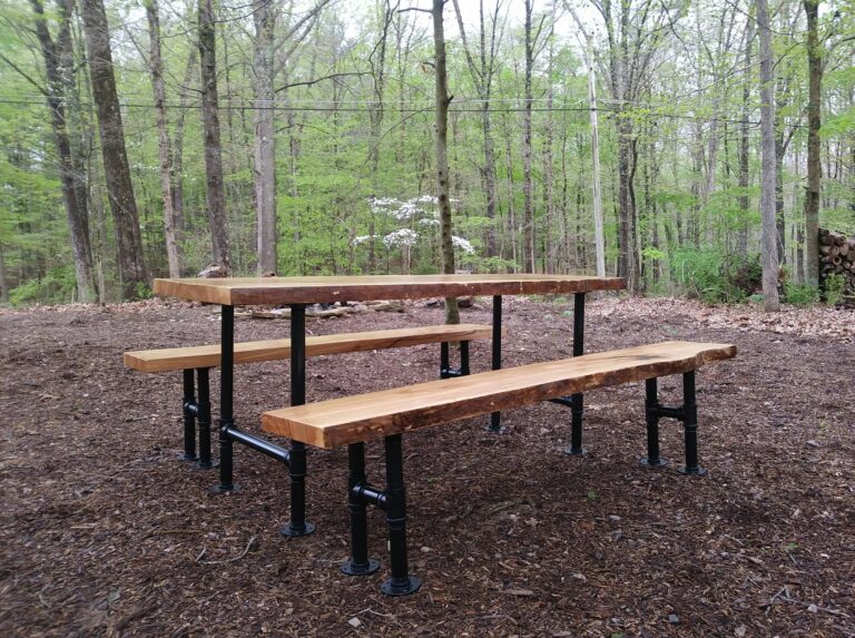 59295999 2261039743942986 5305407512579670016 n 768x573