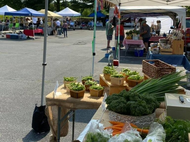 NIFM vendor 6 768x573