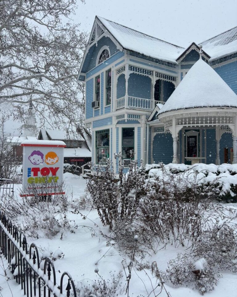 browncountytoychest Instagram 3715 ig 18016745162492666 1 768x961