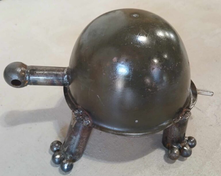 helmet turtle 768x611