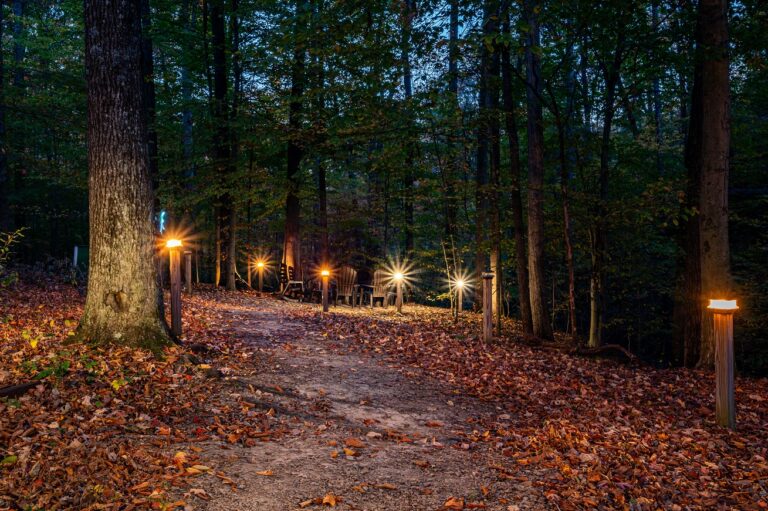 HOB  3 Irish Sons  photography by Steve Cale 6844 Enhanced NR4E1B 768x511