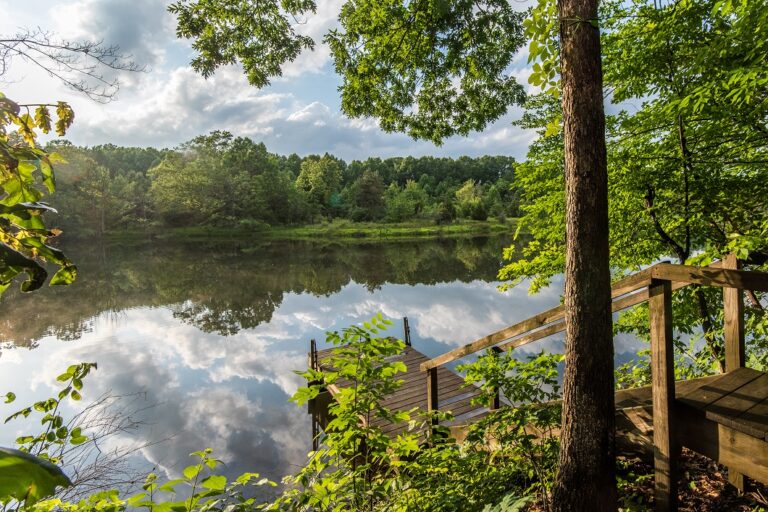 2018 06 13 19.50.54 768x512