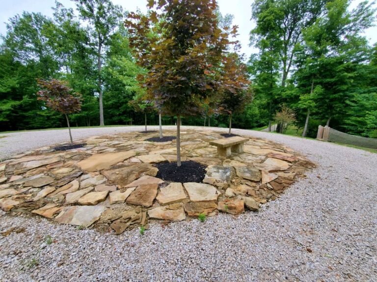 20200716 102739 768x576