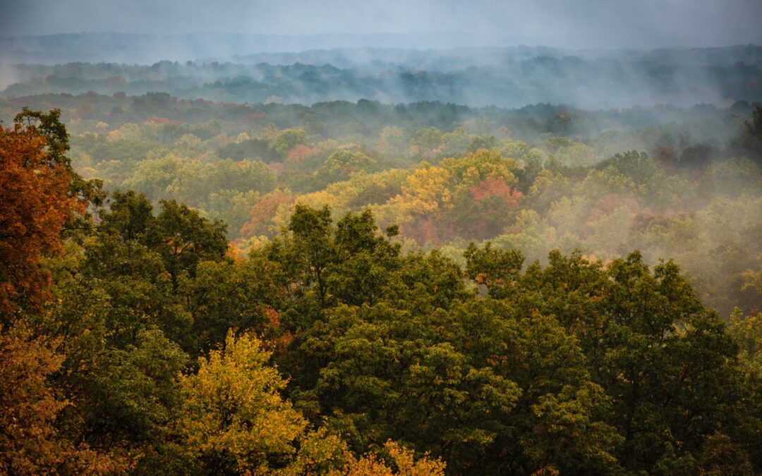 Show Off Your Business!