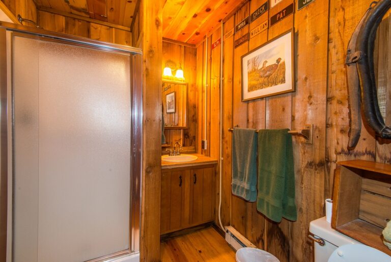 Covered Bridge 1 768x514