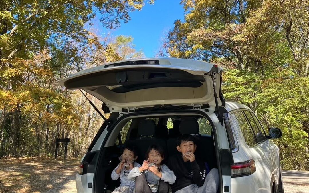 Latest Brown County Coverage & Travel Insights