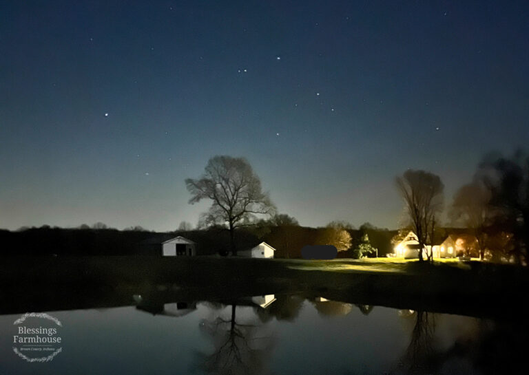 105 Brans pics 7 Blessings Farmhouse 768x545