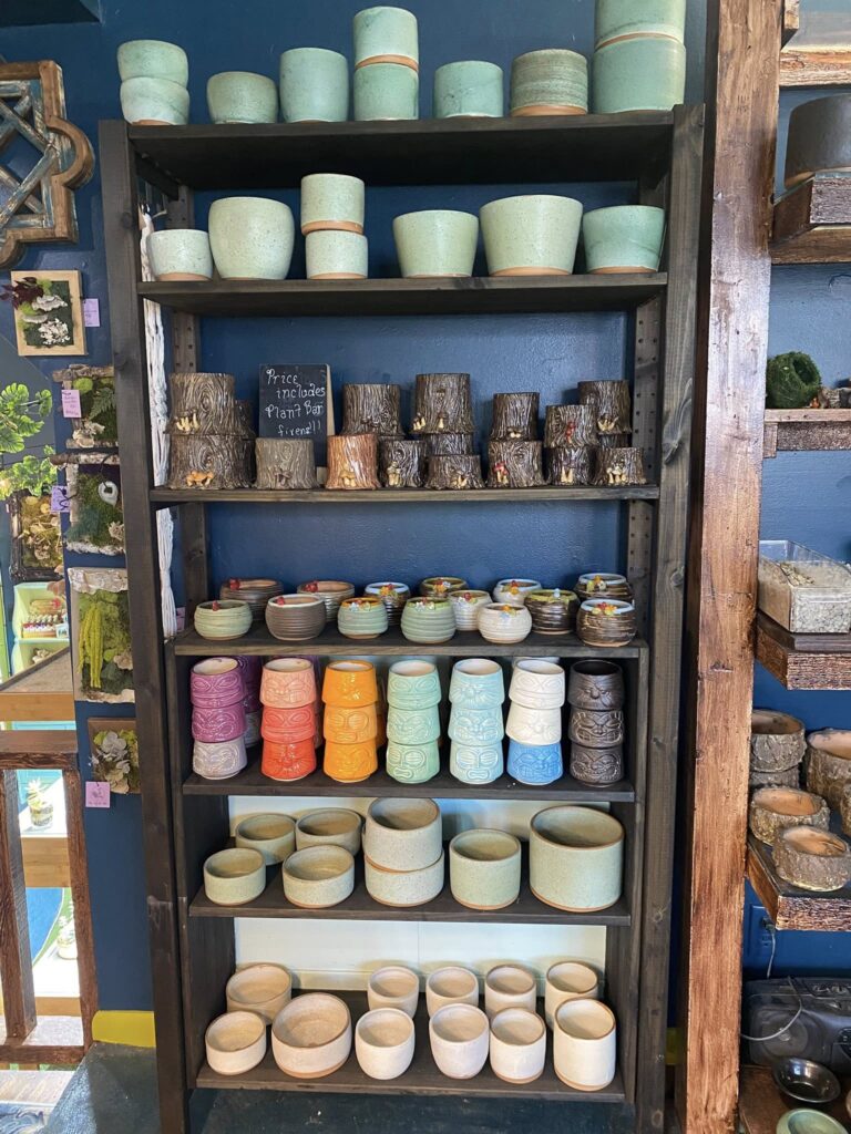 532247098 122135037536835287 9031331906893819080 n 768x1024