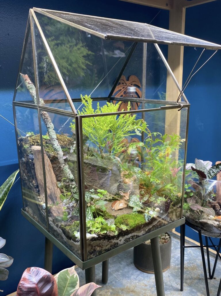 577031668 122147253008835287 7877699931580232068 n 768x1027