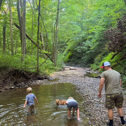 Top 7 Things to Do at Brown County State Park This Spring