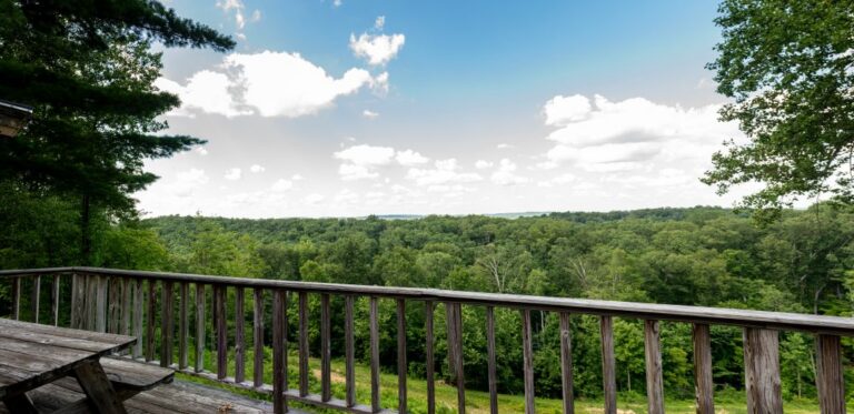 HOB  Timberview  photography by Steve Cale 3995 Pano9543 768x373