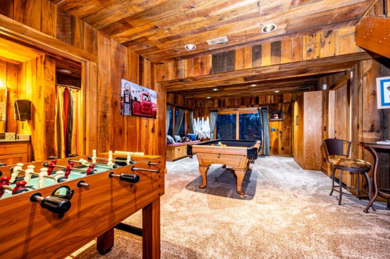 HOB  Two Dogs a Dreamin  photography by Steve Cale 8249D8BE 768x511