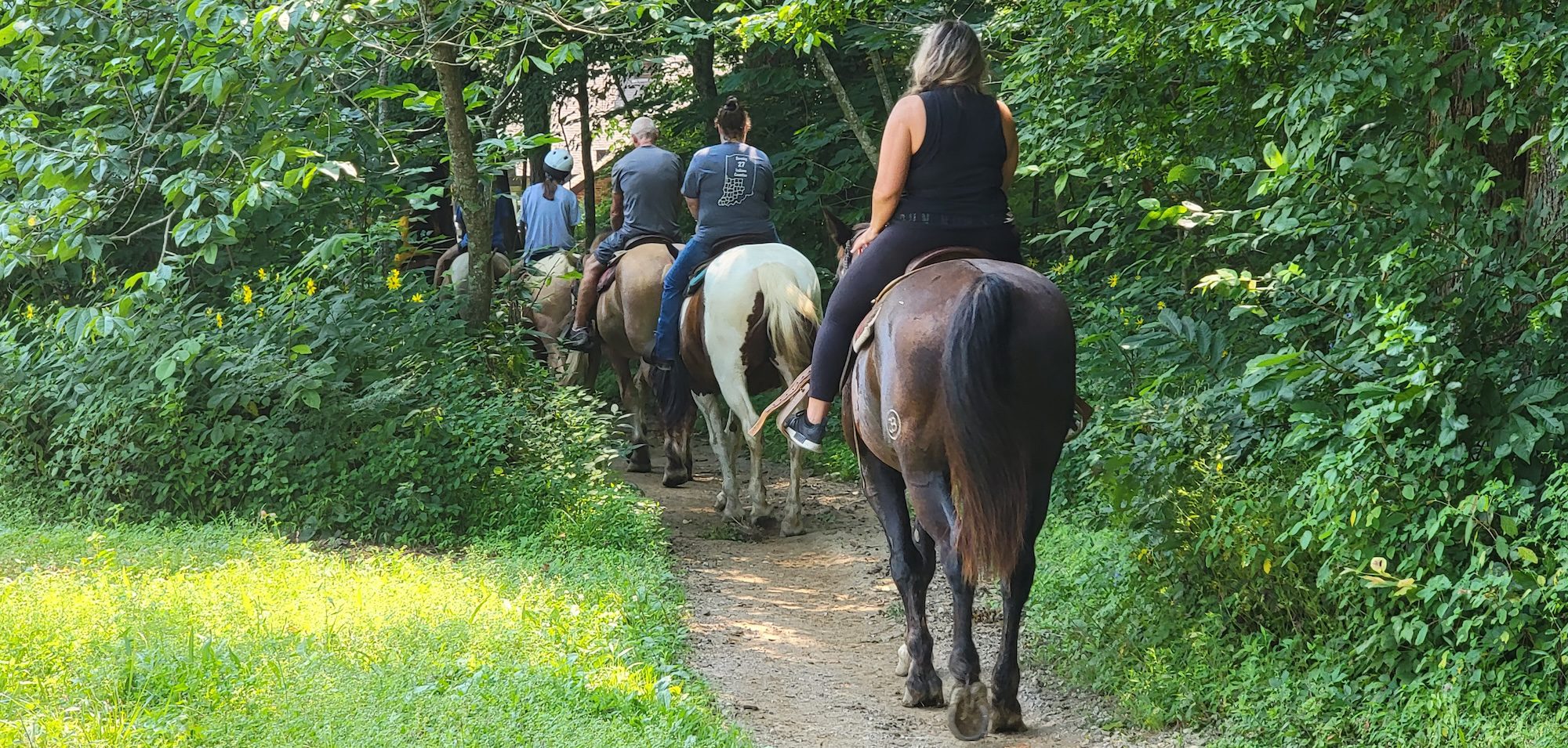 Things To Do - Brown County Indiana
