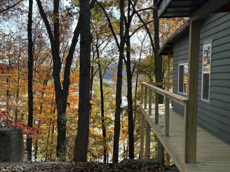 view from firepit 768x576