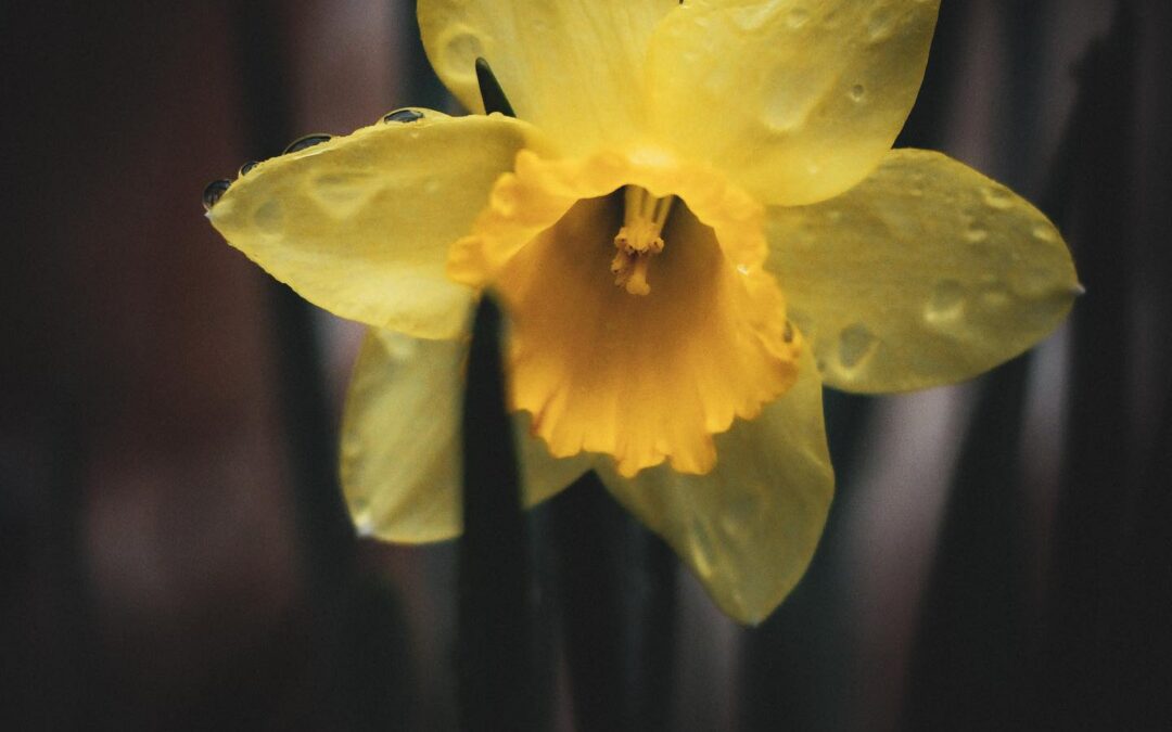 Planning Something for Easter in Brown County?