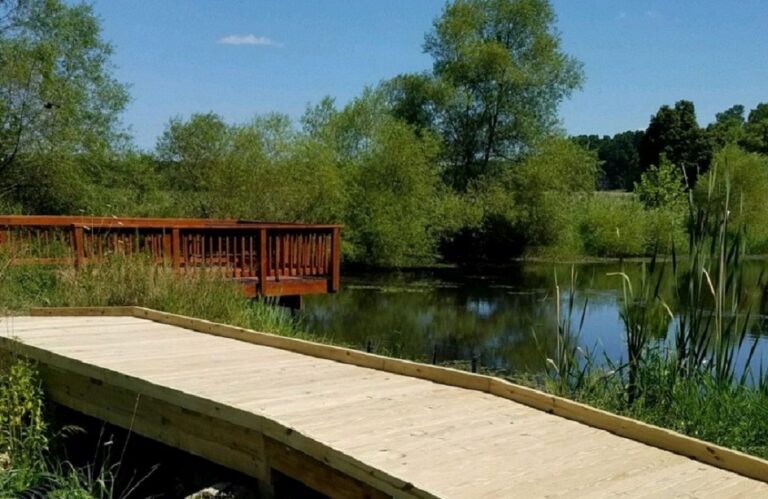 20190809 150406 768x499