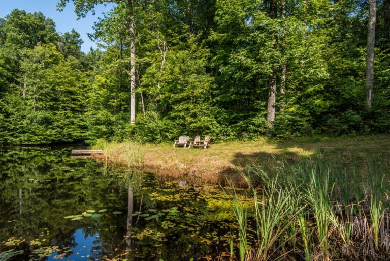 HOB  Still Waters Cabin  photography by Steve Cale 9394C228 768x513