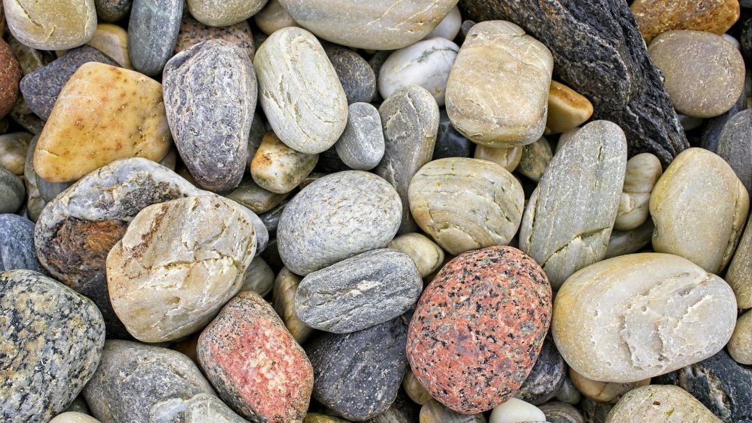 Rock Fest 2026