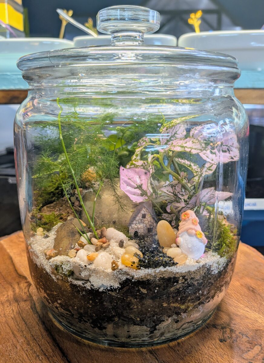 Mossy Rock Pop Up