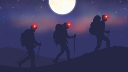 Night Hike