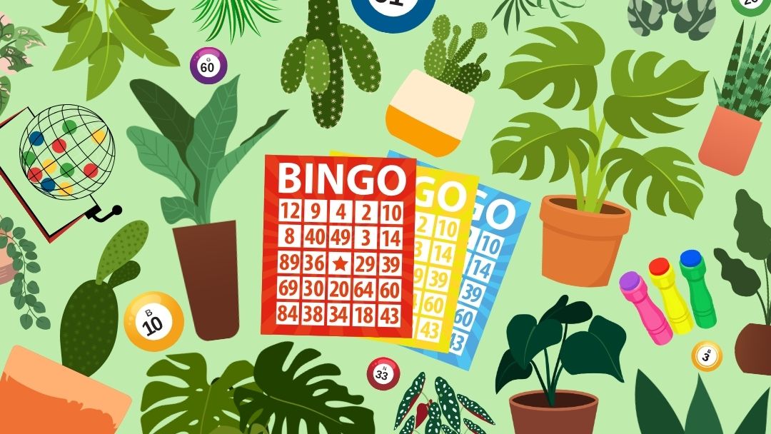 Plant Bingo