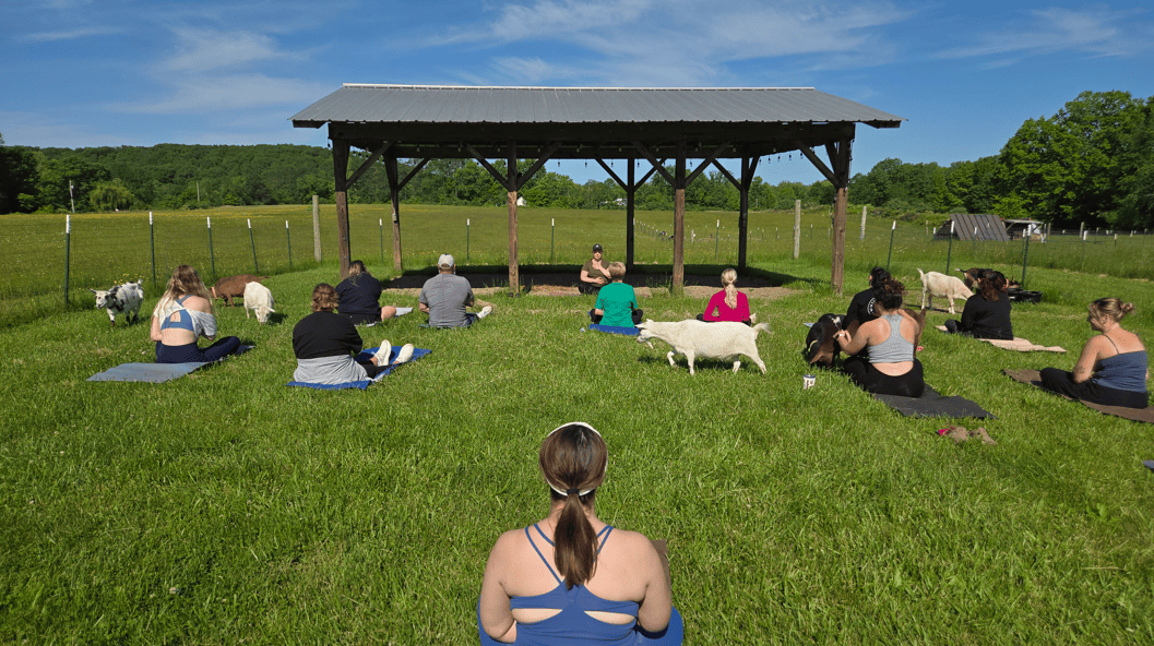 Goat Yoga with Dayana